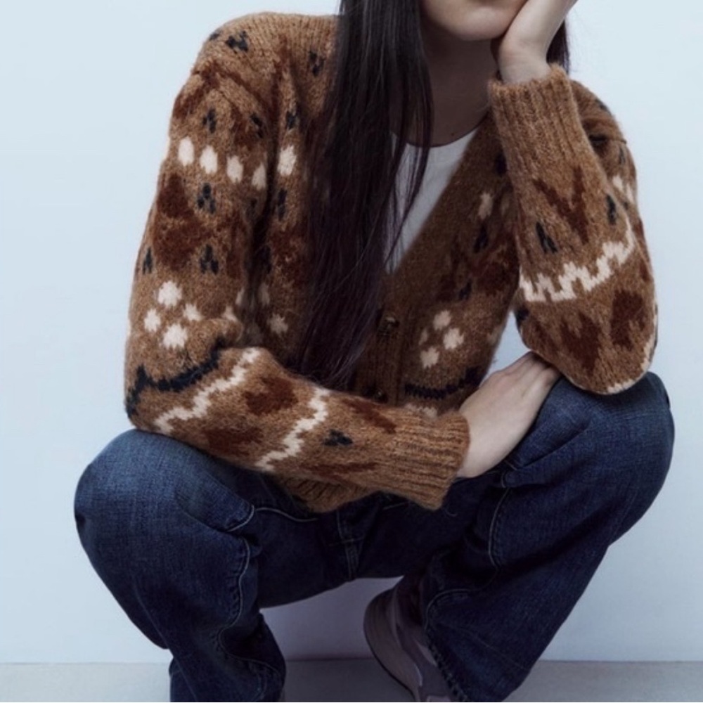 Zara Blogger Favorite Textured Cozy Brown Button Down Cardigan Sweater